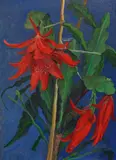 Gabriele Münter, Rote Kakteenblüte auf blauem Grund, 1926, Oil on cardboard