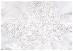 Günther Uecker, Both, 2019, Embossing print