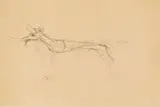 Joseph Beuys, Ohne Titel, Um 1957/58, Pencil drawing