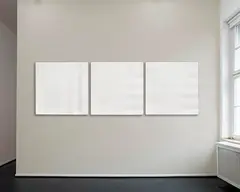 Walter Leblanc, Twisted Strings 130C X 450, Phases I, II, III, 1976/77, Mixed media. Cotton threads and white latex on ...