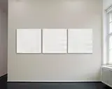 Walter Leblanc, Twisted Strings 130C X 450, Phases I, II, III, 1976/77, Mixed media. Cotton threads and white latex on ...