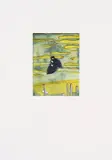 Peter Doig, Black Palms, 2004, Etching in colors