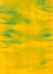 Katharina Grosse, Ohne Titel, 1999, Acrylic
