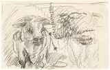 Georg Baselitz, Zwei Kühe, 1968, Chalk drawing, on both sides