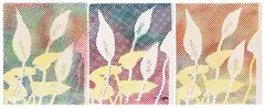 Sigmar Polke, Kallablüten (3-teilig), 1965, Acrylic and spray paint on paper