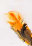 Otto Piene, Caress, 1975, Gouache
