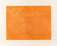 Franz Gertsch, Bagatelle II. Pestwurz, 2002, Woodcut. Hand-printed in orange