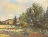 Ernest Columba Hayes, THE PASSING DAY