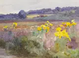 Mildred Anne Butler, SUMMMER PASTURES