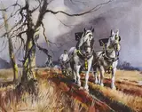 SPRING FURROW, Whyte's 2014