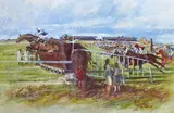 Roy Lyndsay, GALWAY RACES