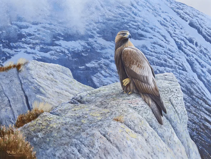EAGLE ON A ROCK by Alastair Proud, oil on board, offered Sep 2014