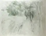 Terence P. Flanagan, CASTLECALDWELL DRAWING