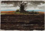 FURTHER WEST, Whyte's 2013