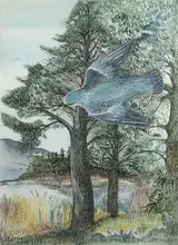 Pauline Bewick, KILLARNEY, COUNTY KERRY