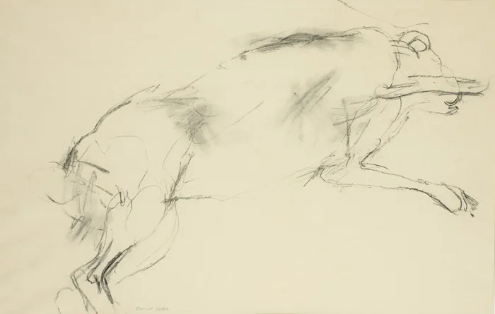 RUNNING HARE (I) by Barrie Cooke, charcoal on paper, offered May 2013