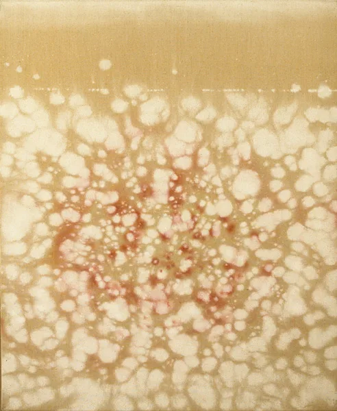 COTTON BOG 15562 by Patrick Scott, oil on canvas, sold Oct 2012