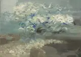 George Campbell, SEAGULLS