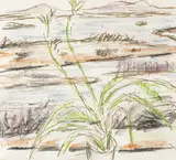 Norah McGuinness, STILL LIFE IN A LANDSCAPE