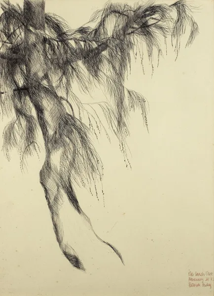 OLD LARCH TREE by Patrick Hickey, 1983, pen and pencil on paper, offered Oct 2012