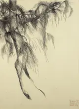 Patrick Hickey, OLD LARCH TREE