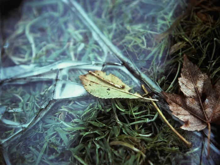 WINDSCREEN FRAGMENT by Willie Doherty, 1996, cibachrome on aluminium; (no. 2 from an edition of 3), sold Oct 2012