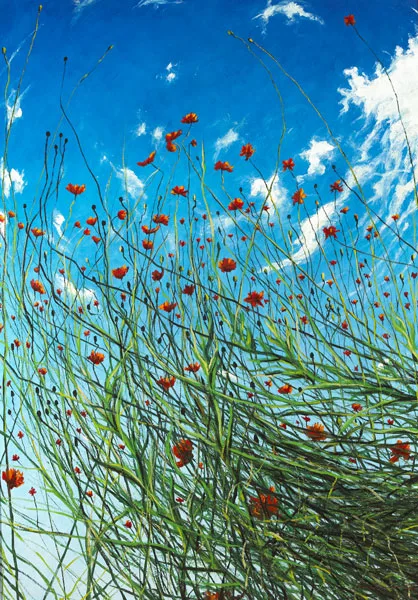 Rasher, POPPIES, 2008, oil on canvas