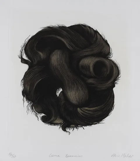 Alice Maher, COMA BERENICES, 1999, etching and aquatint (no. 14 from an edition of 30)