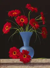 Brian McCarthy, GERBERAS