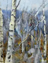 Tim Goulding, SILVER BIRCH