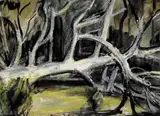 Moila Powell, FALLEN GUM TREE, AUSTRALIA