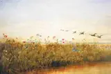 Andrew Nicholl, A BANK OF WILD FLOWERS (MORNING)