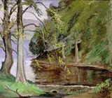 Rosaleen Brigid Ganly, THE LAKE