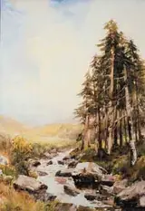 William Bingham McGuinness, MOUNTAIN STREAM AT SILKSTONE