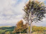 Thomas Ryan, DUBLIN FROM THE PINE FOREST
