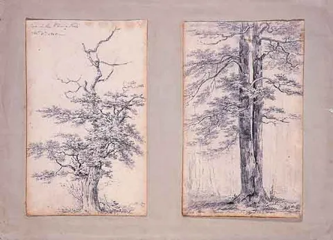 A PAIR OF STUDIES OF TREES, PHOENIX PARK, DUBLIN by Henry Brocas Senior, pencil drawings, sold Dec 2000