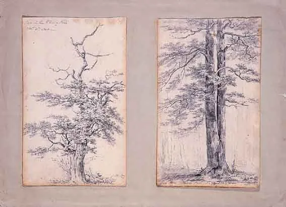 A PAIR OF STUDIES OF TREES, PHOENIX PARK, DUBLIN by Henry Brocas Senior, pencil drawings, sold Dec 2000