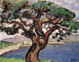 Letitia Marion Hamilton, TREE