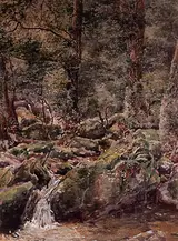 William Bingham McGuinness, WATERFALL