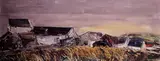 Kenneth Webb, FARM AT KILLINCHY, COUNTY DOWN