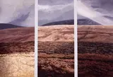Trevor Geoghegan, MOVING LIGHT