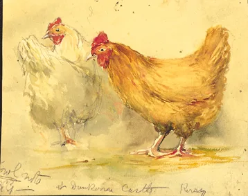 STUDY OF HENS by William Bingham McGuinness, watercolour, sold Mar 2000