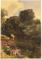 Mildred Anne Butler, WILD FLOWERS, KILMURRAY