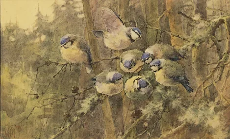 LEARNING TO FLY by Helen O'Hara, watercolour, offered Mar 2000