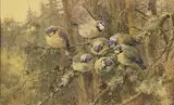 Helen O'Hara, LEARNING TO FLY