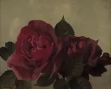 Patrick Hennessy, STUDY OF ROSES