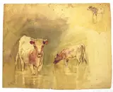 William Bingham McGuinness, COWS WATERING