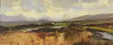 Kenneth Webb, BOG, BLOODY FORELAND, IRELAND