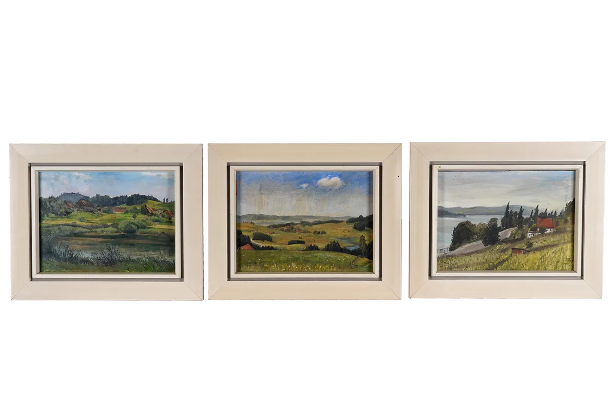 Fridel Dethleffs-Edelmann, Meersburg, Kempten in Allgäu and Billesweiher, oil on board