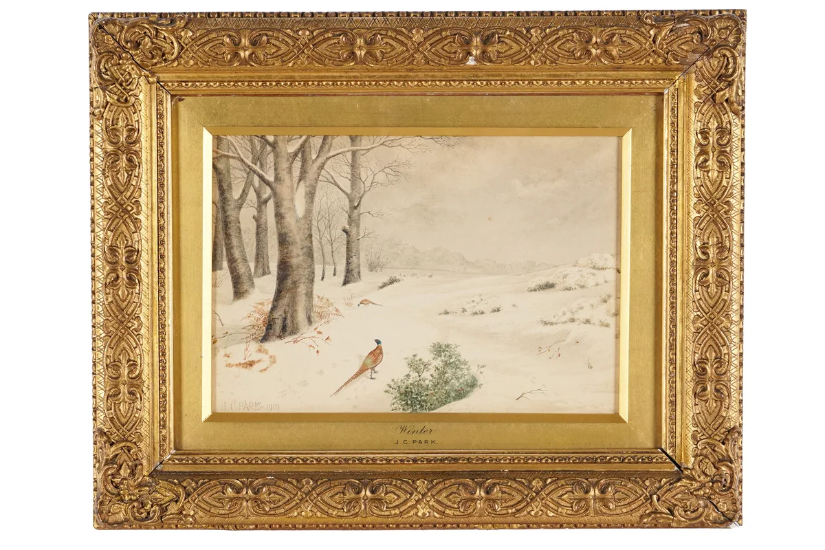 James Chalmers Park, Pheasant in Winter, watercolour